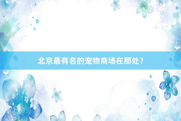 北京最有名的宠物商场在那处?